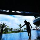 제주도 추억 덤프 : 제주 파르나스 호캉스 2일차(ft. 오션뷰 콘페티 조식 수영장 그리고 마농 갈비)