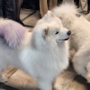 겨울이 머무는 집 이미지