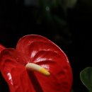 안경인생 이미지