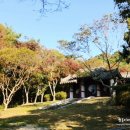 임천약국 네이버블로그