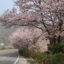 대병중학교 이미지