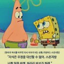 뚱이