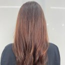 라로블헤어금천