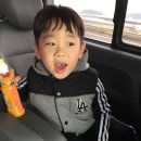 위풍당당 태권도장 | [체험] 마음열기친구들과 청도 감(반시)따기 체험 후기