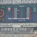 화성종합경기타운(주경기장) | 화성종합경기타운 주경기장 (화성 FC)