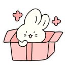 구름 펫 살롱 이미지