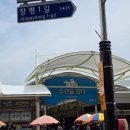 아랫장채소 | 순천 아랫장 5일장 다녀왔어요｜먹거리, 수산물, 장날 분위기 총정리
