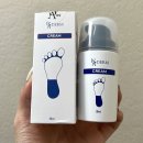 르사(LSA) 이미지