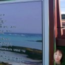 함덕 바닷가 / 詩 이서정(연주), 님 언제 오시려나 함덕 바닷가... 이미지