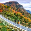 구항면 화산마을회관 | “UN이 인정한 한국 마을? 알고 보니 울릉도 ‘여기’였습니다”