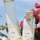 영농조합법인 토굴발효 이미지