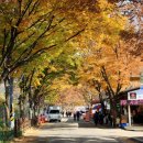 주왕산시외버스터미널 이미지