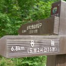 백우정산 : 인제 대암산(1,316m) 이미지