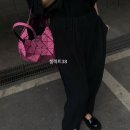 바이뮬 | 데일리룩) 바오바오 26 신상 캐럿백 토트백 미니 스몰 미듐 라지 사이즈 가방
