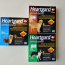 탑미래약국 이미지