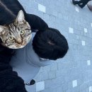 27.은수교차로(행정) | ‘호기심’은 어둠 속에서 반짝이는 작은 별이다.