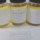 비틀에코 이미지