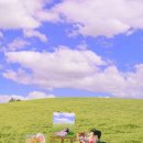 제주 하연 이미지