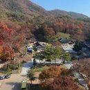 보덕사 Daum카페