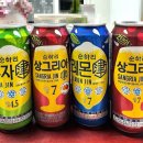 GS25(쌍용아진점) | 순하리진 신상! 상그리아진·유자진 솔직 후기 | 편의점 맥주 행사 가격, 칼로리 솔직후기