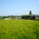 천북목장 이미지