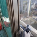 쌍용주공7단지아파트(2차) 이미지