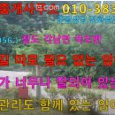 국도관광