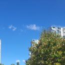 달안어린이공원 이미지