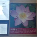 연을담은돈까스 이미지