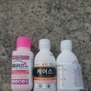 에스케어스 이미지