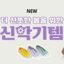 보리보리 이미지