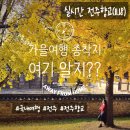 향교로 3 | 전주향교 은행나무 실시간 단풍 현황(2025)｜방문 후기