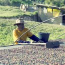 명기농장 이미지