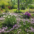 구로-구로-구로-2047 이미지