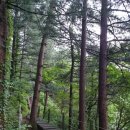 강우진 행정사 사무소 이미지