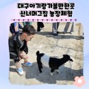산너머농장 | 대구아이랑가볼만한곳 농장체험 산너머그집