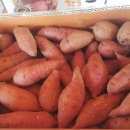 해남가스충전소 이미지