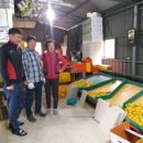 진현농장 이미지