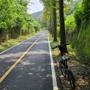 양평역 자전거주차장 이미지