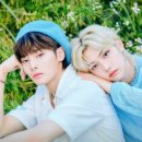 STAY(스테이) 이미지