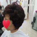 미소헤어칼라 - 익산시 | 미소헤어칼라