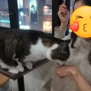 빛나수산 이미지