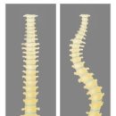 라온체형교정센터 이미지
