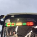 완도파인비치호텔 이미지