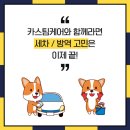 행복카스팀케어 이미지