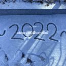 김윤태농장 | 책 후기 &lt;트렌드 코리아 2022&gt;, 나노사회/러스틱 라이프/내러티브 자본에 대하여