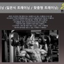 [군포, 안양, 수원, 안산] ## 쇼케이 스포츠 베이스볼 ## 200평규모와 7M층고 / 한국최초 비선수출신 프로야구 선수배출 / 이미지