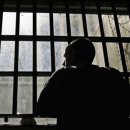 운칠기삼 이미지