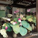 해리티지이음