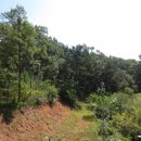 서도면-1 이미지